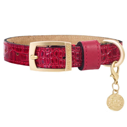 Cayman Luxury Dog Collar by Hartman and Rose